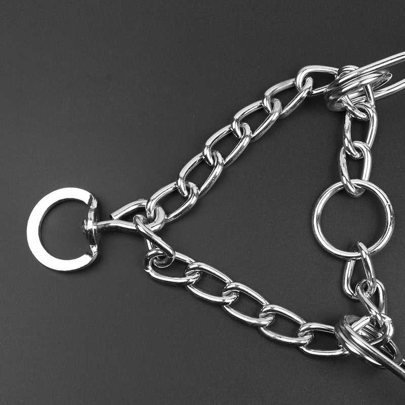 PawZella Training Chain Collar — Detachable Prong Training Collar