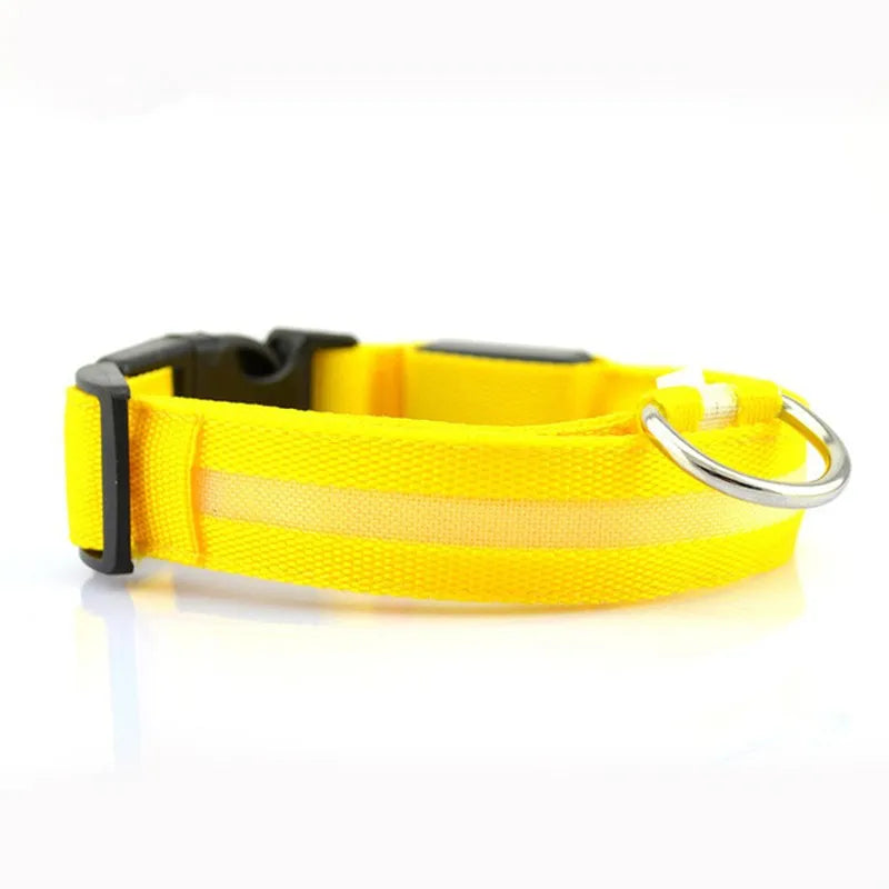 Pawzella LED Pet Safety Collar