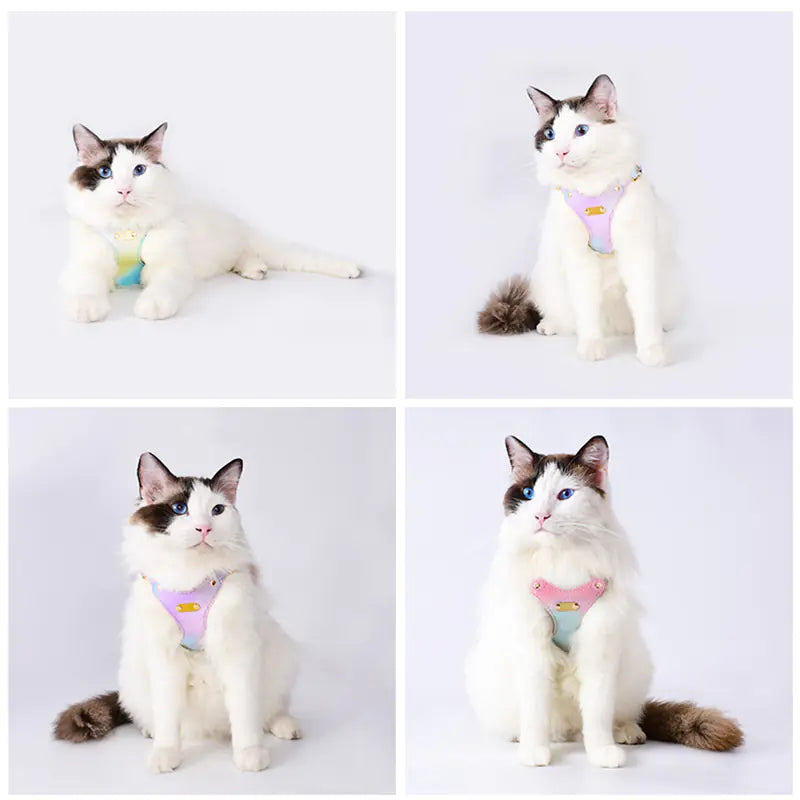 Pawzella Puddle-Pro Tuff-Tiny Harness