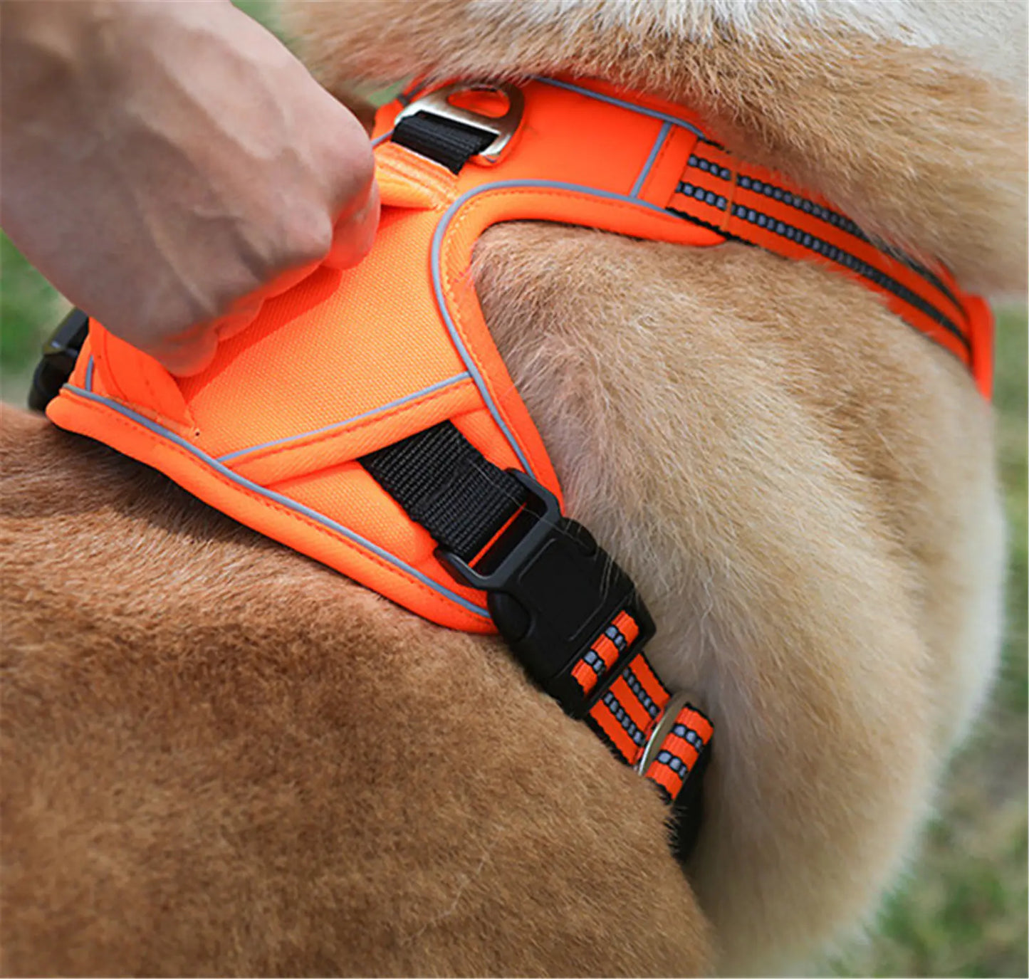 Trailblazer Pet Harness with Handle
