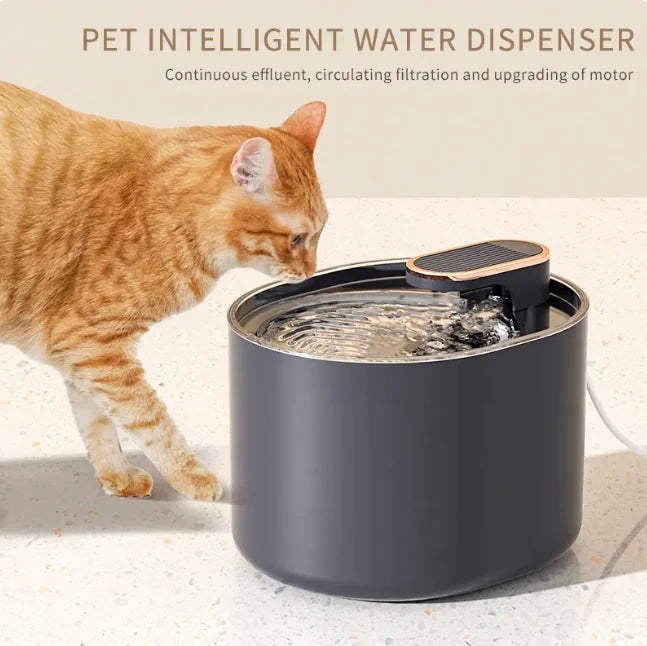 Pawzella SlurpStation