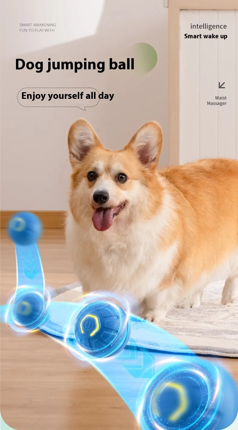 PawZella Smart Interactive Rolling & Jumping Ball