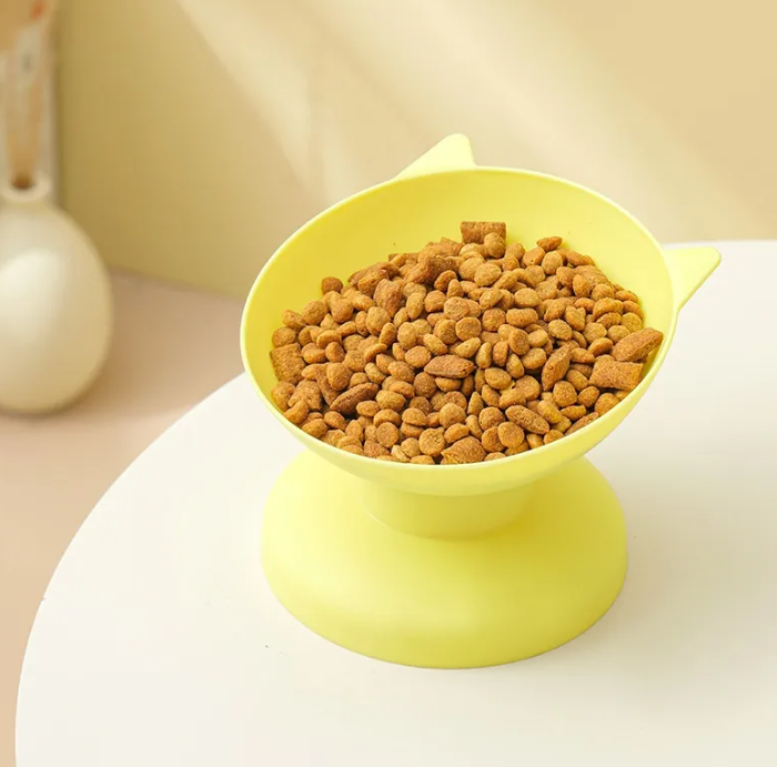 Pawzella Elevated Cat Feeding Bowl