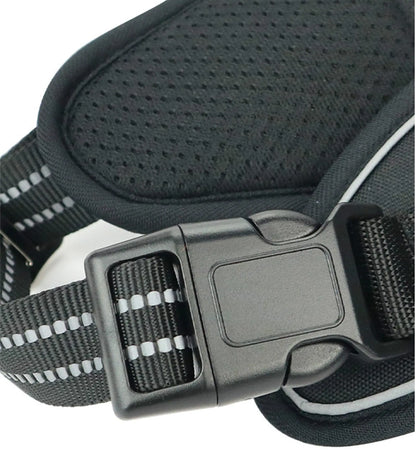 Trailblazer Pet Harness with Handle