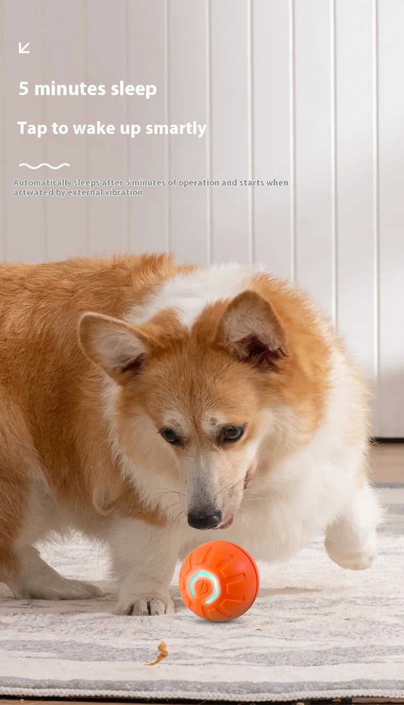 PawZella Smart Interactive Rolling & Jumping Ball
