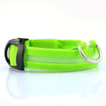 Pawzella LED Pet Safety Collar