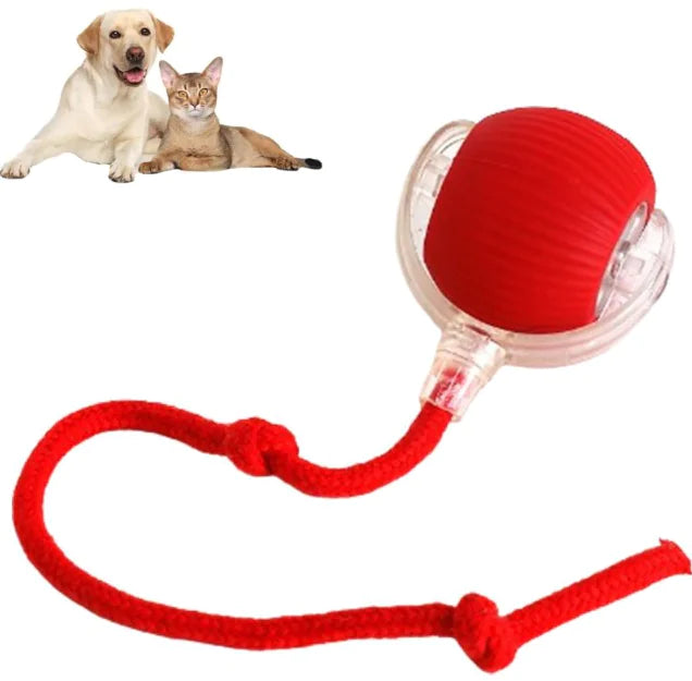 Interactive Pet Motion Ball