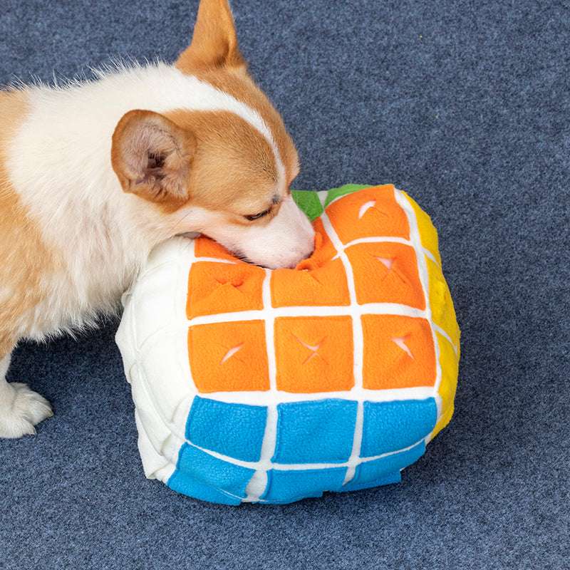 PawZella Interactive Snuffle Puzzle Cube