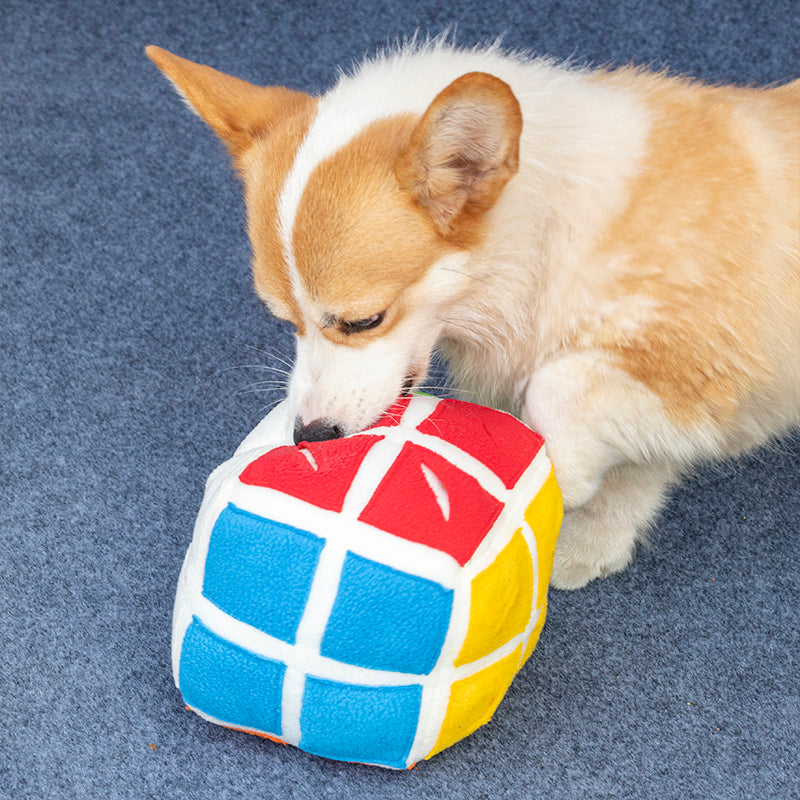 PawZella Interactive Snuffle Puzzle Cube