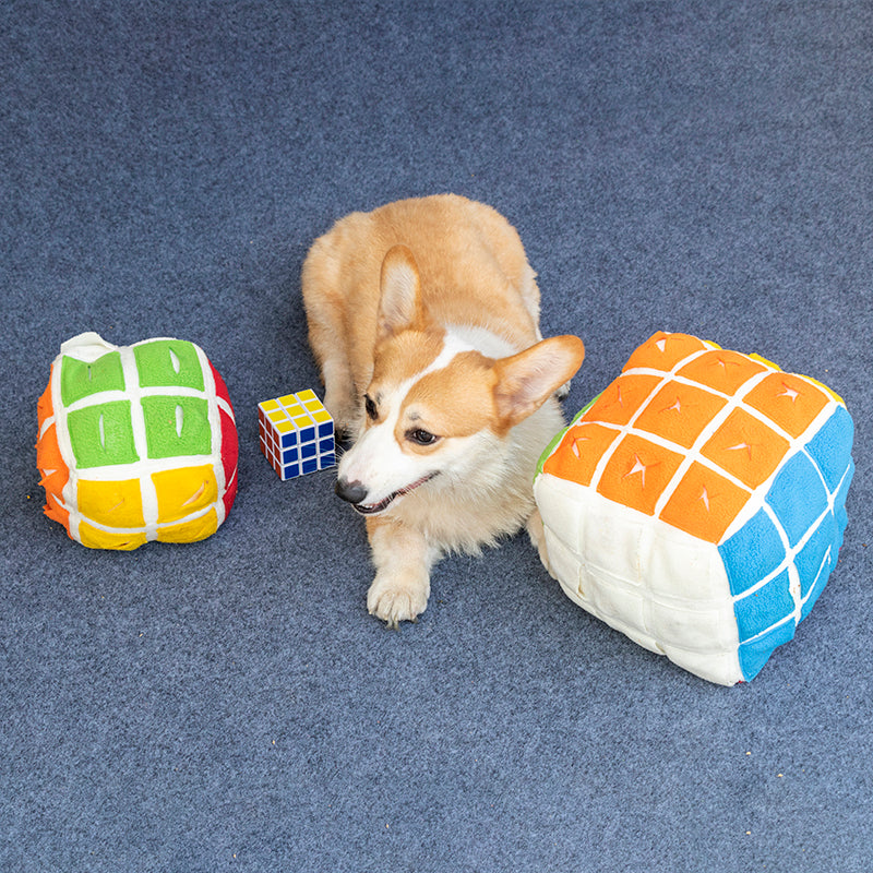 PawZella Interactive Snuffle Puzzle Cube