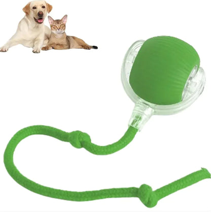 Interactive Pet Motion Ball