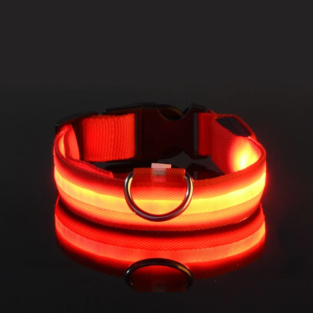 Pawzella Nylon LED Night Safety Flashing Glow