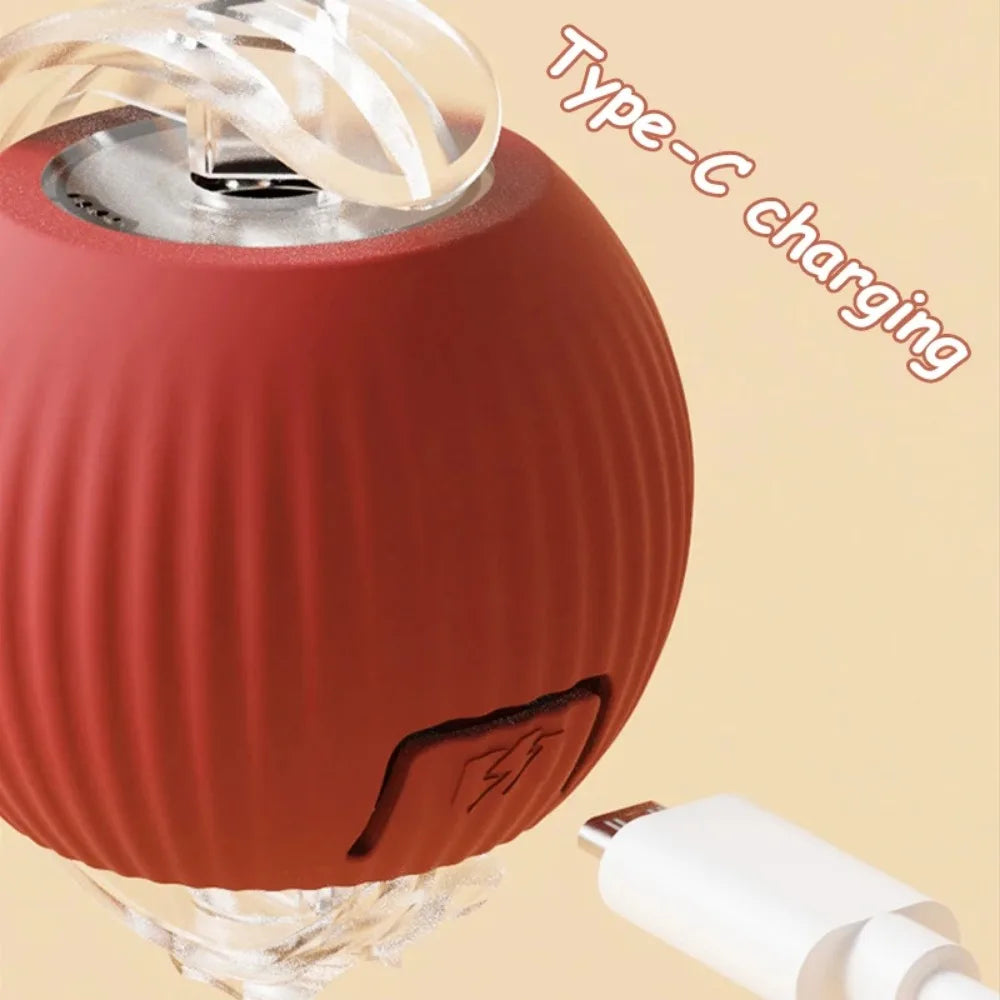Pawzella Cat Interactive Ball