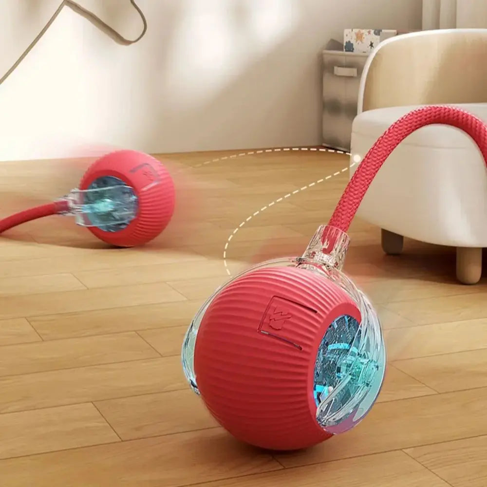 Pawzella Cat Interactive Ball