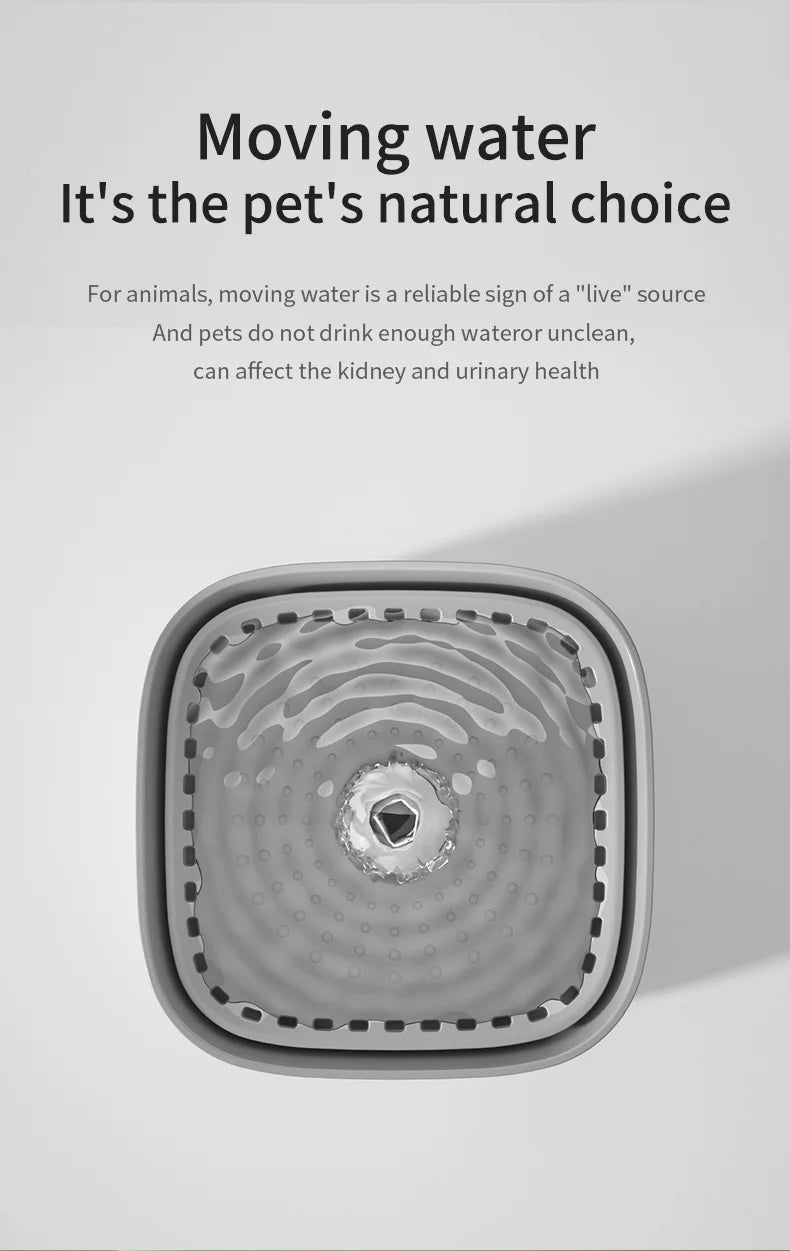 Pawzella Cat Water Fountain