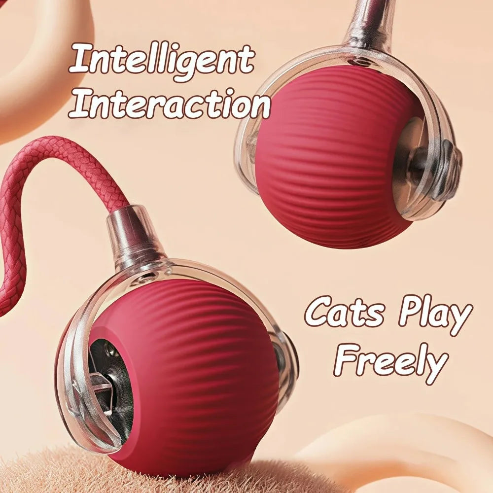 Pawzella Cat Interactive Ball