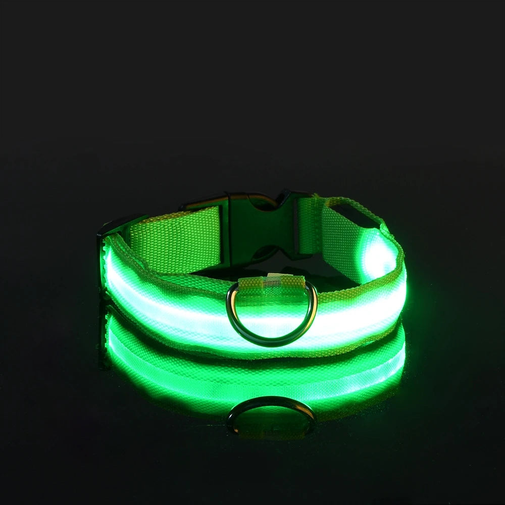 Pawzella Nylon LED Night Safety Flashing Glow