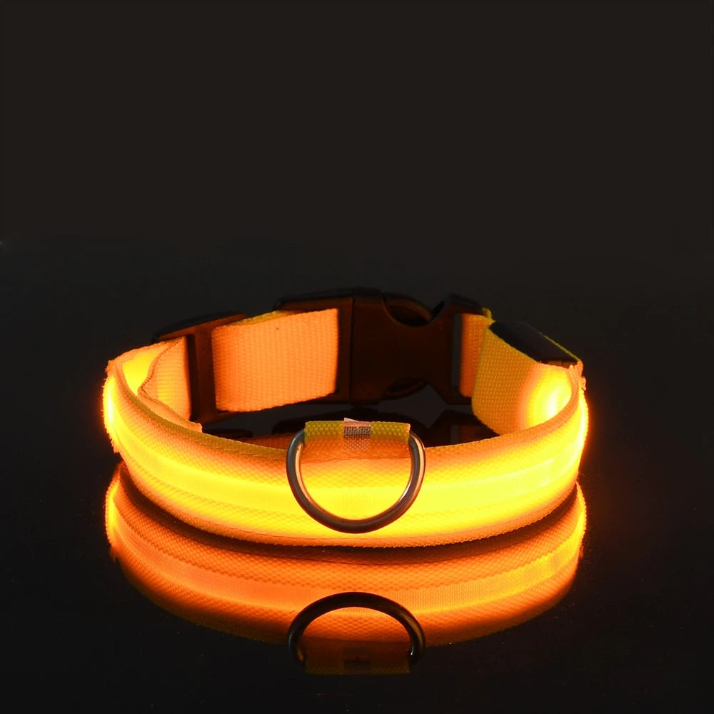 Pawzella Nylon LED Night Safety Flashing Glow