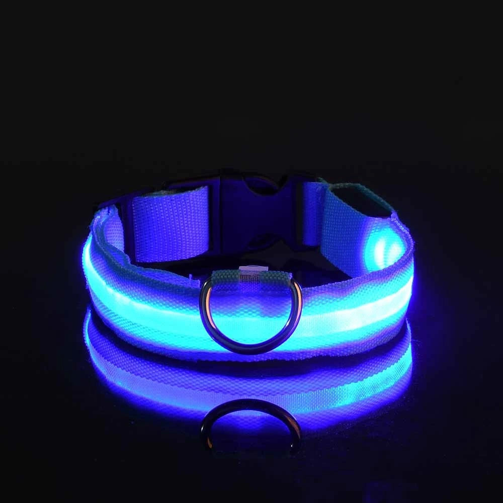 Pawzella Nylon LED Night Safety Flashing Glow