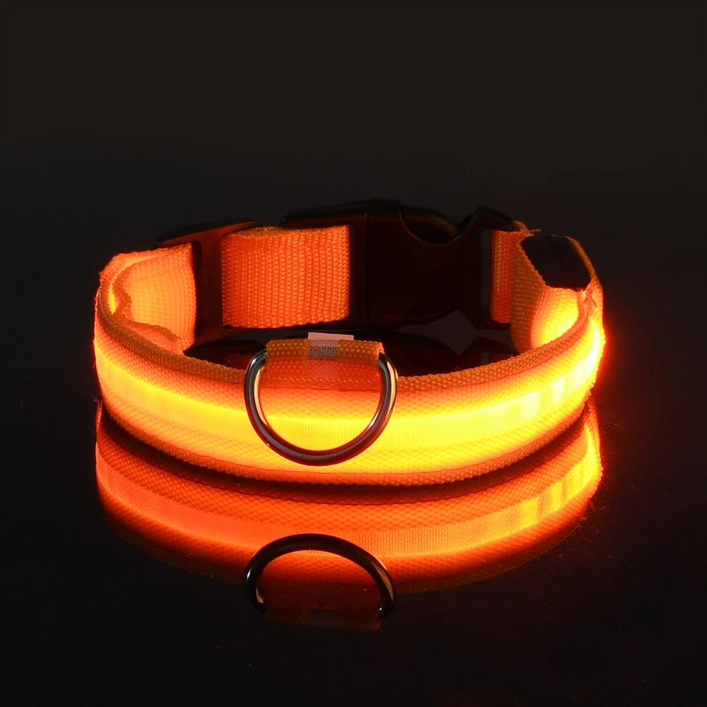 Pawzella Nylon LED Night Safety Flashing Glow