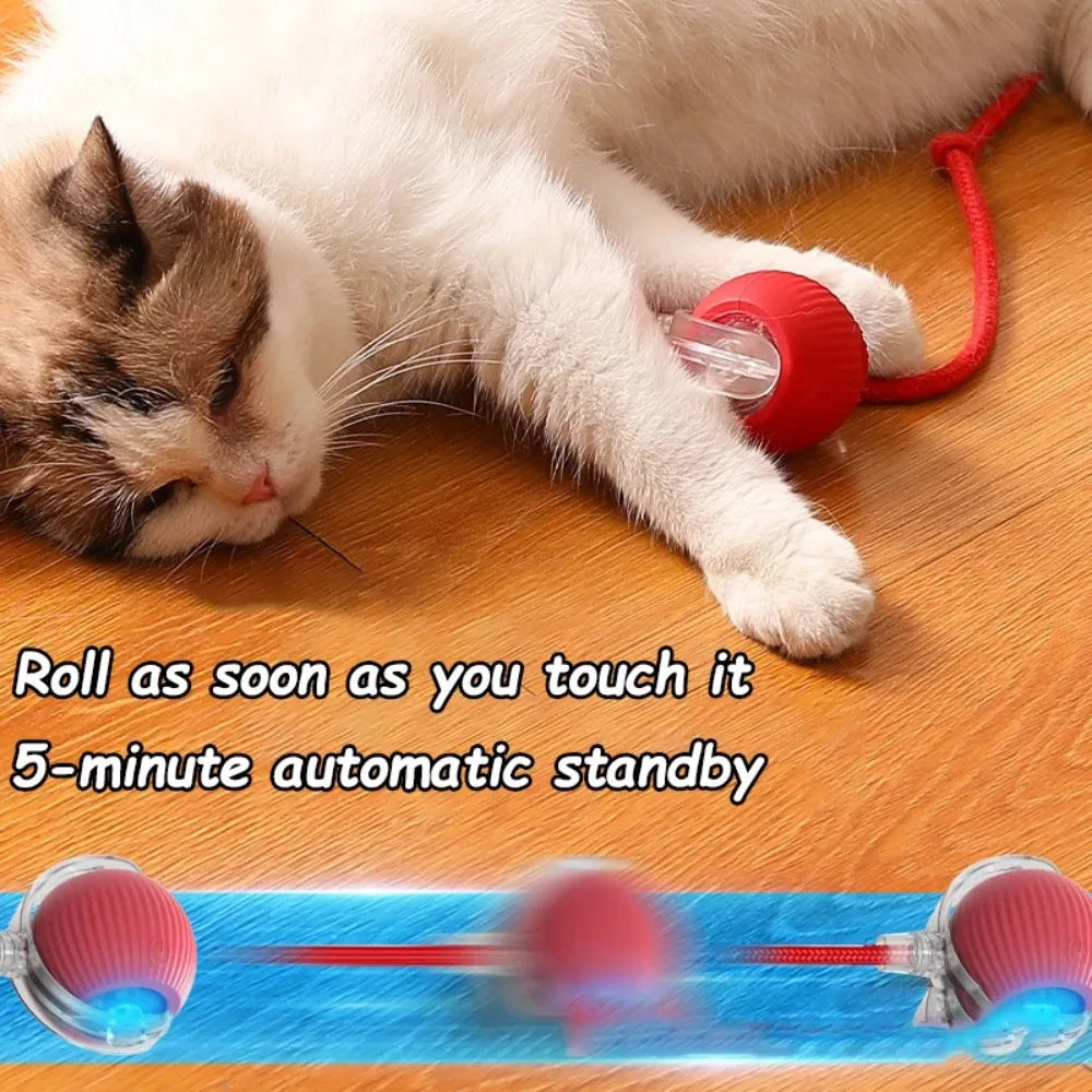 Pawzella Cat Interactive Ball