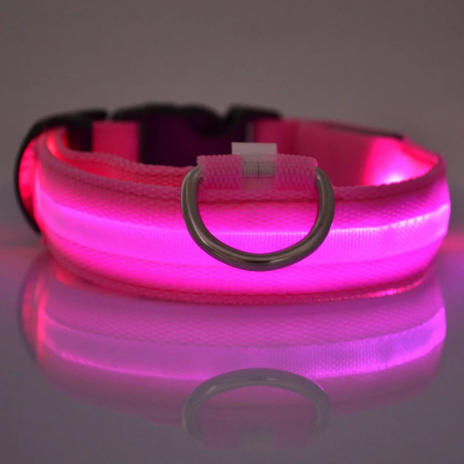 Pawzella Nylon LED Night Safety Flashing Glow