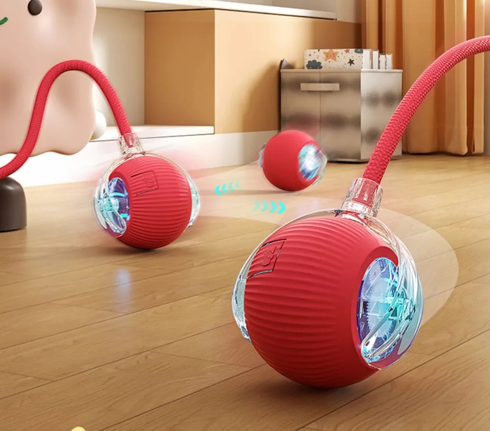Pawzella Cat Interactive Ball
