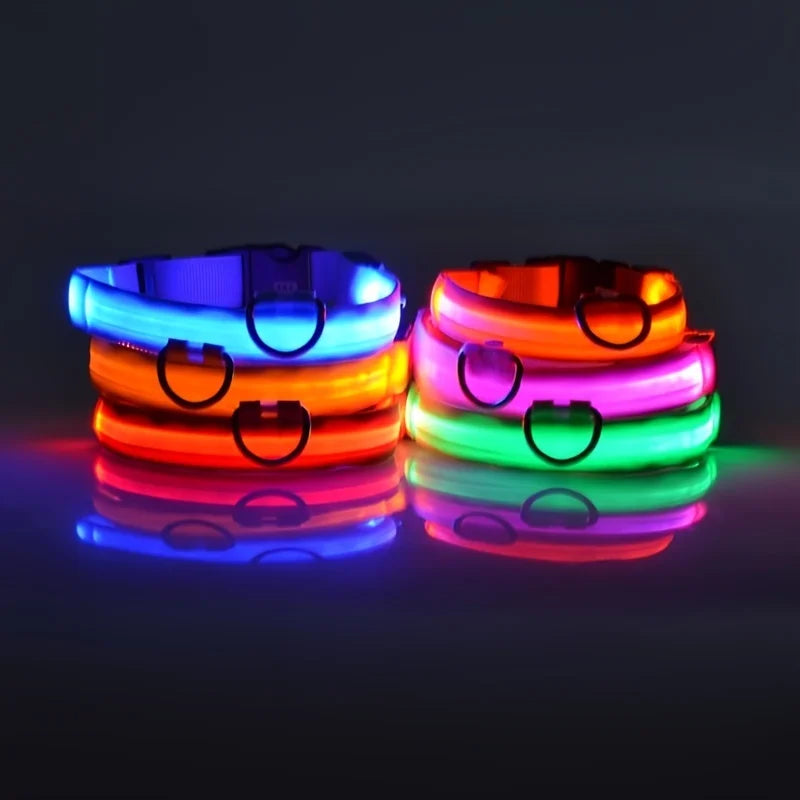 Pawzella Nylon LED Night Safety Flashing Glow