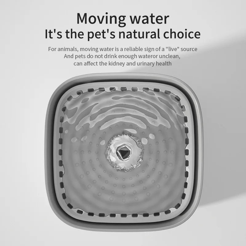 Pawzella Cat Water Fountain