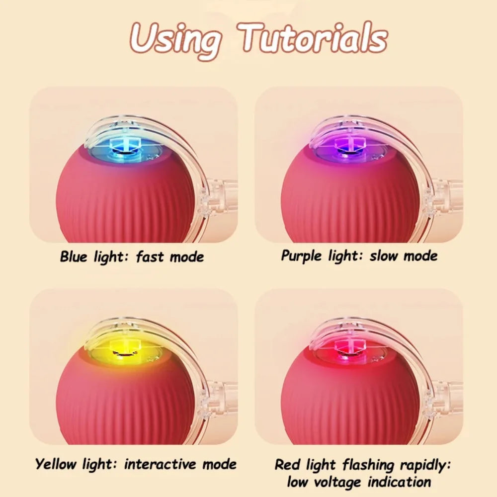 Pawzella Cat Interactive Ball