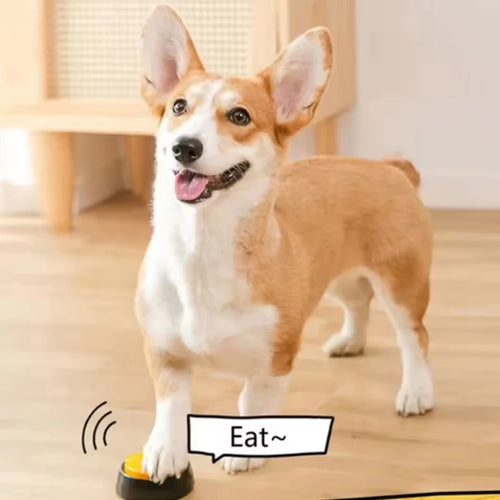 Pawzella Dog Communication Buttons