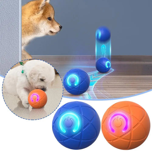 Pawzella Automatic Pet Ball