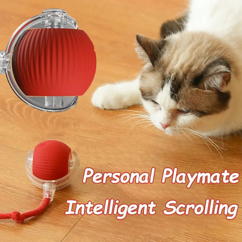Pawzella Cat Interactive Ball