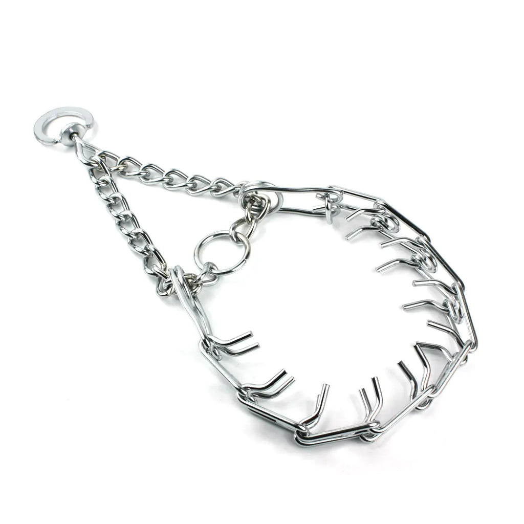 PawZella Training Chain Collar — Detachable Prong Training Collar