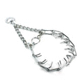 PawZella Training Chain Collar — Detachable Prong Training Collar