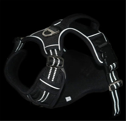 Trailblazer Pet Harness with Handle