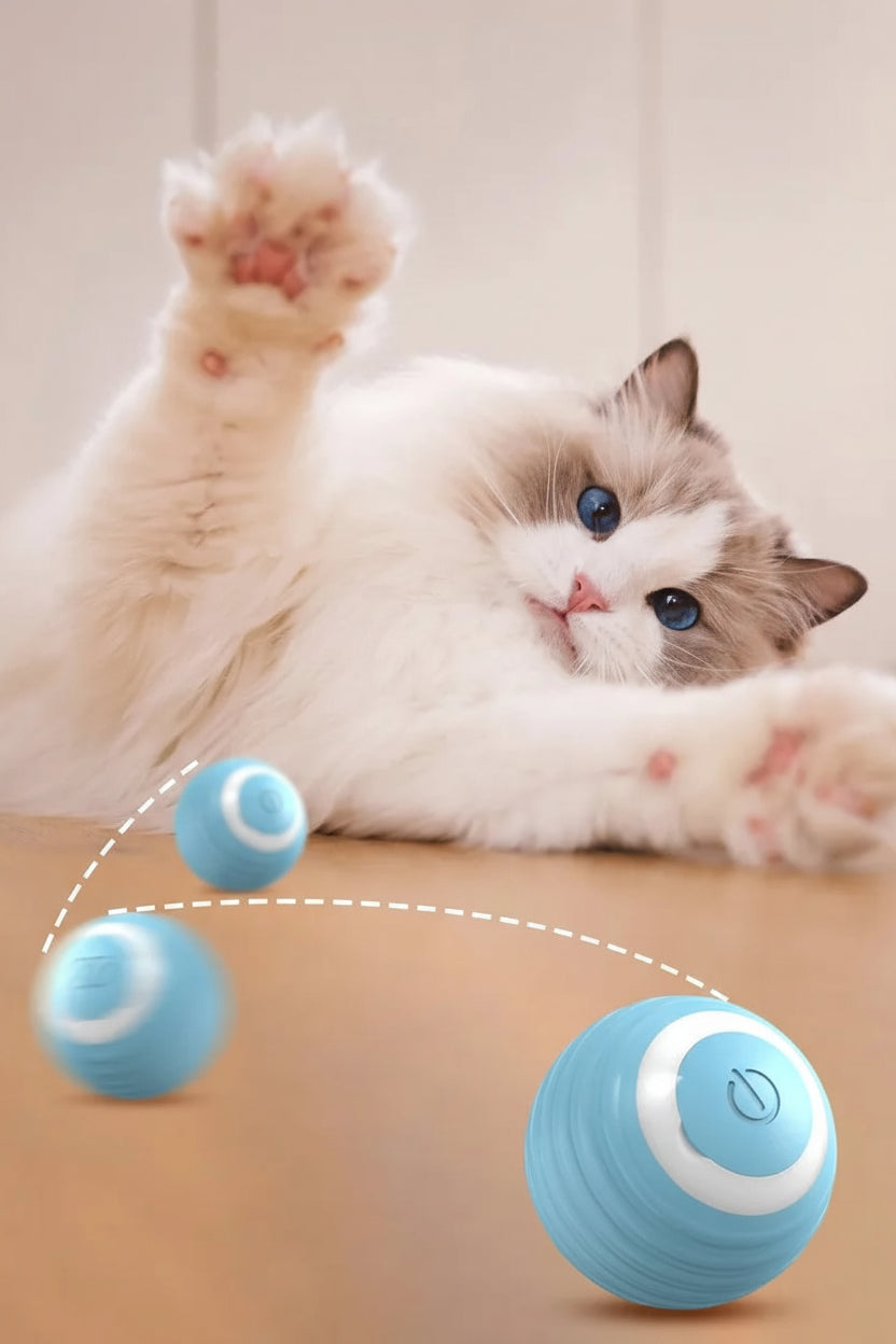 PawZella Smart Interactive Rolling & Jumping Ball