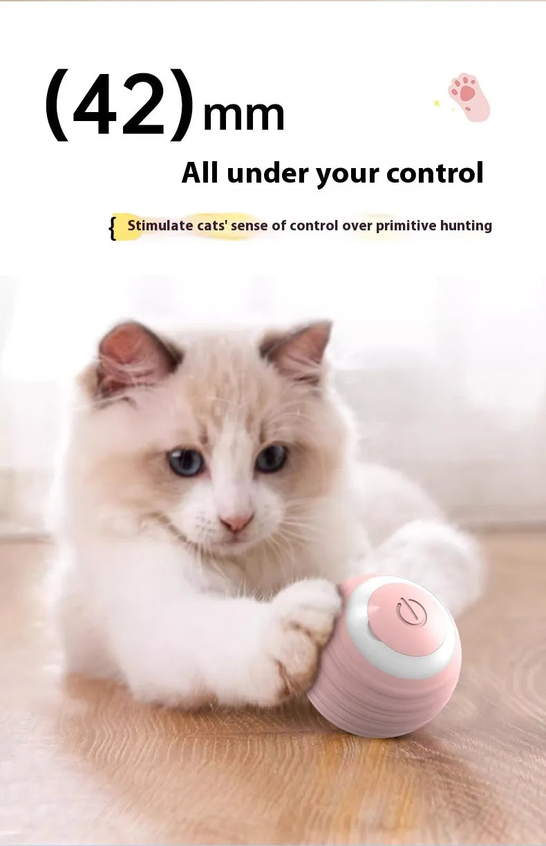 PawZella Smart Interactive Rolling & Jumping Ball