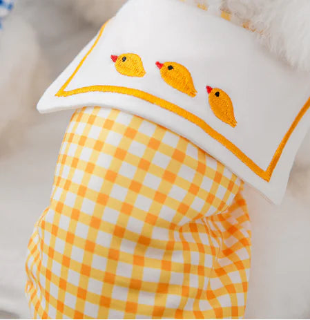 Pawzella Pawsome Fit-Check